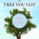 Grow the Tree You Got
